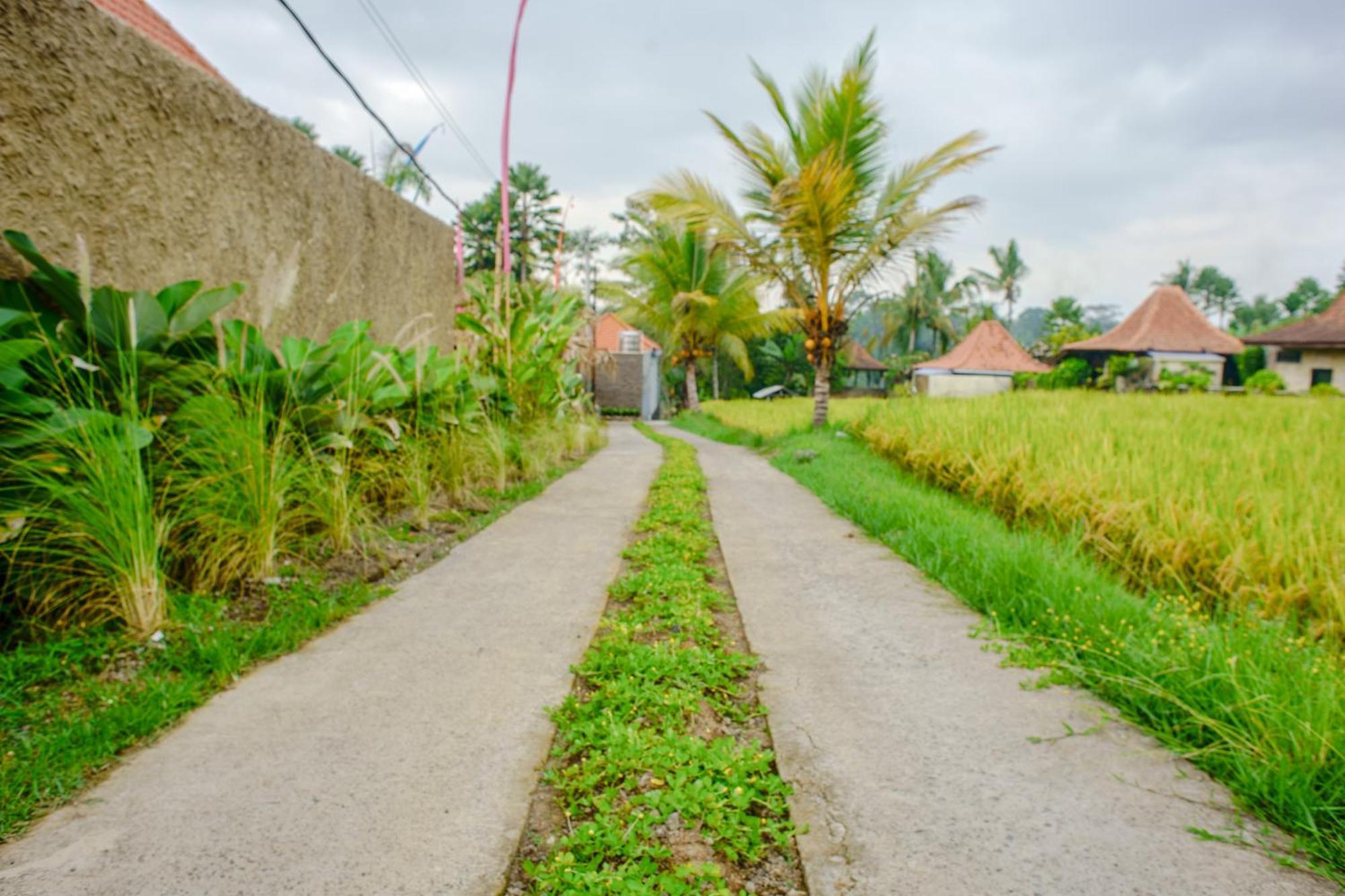 Umakelod Sebatu Villa&Cottages Ubud Exteriör bild
