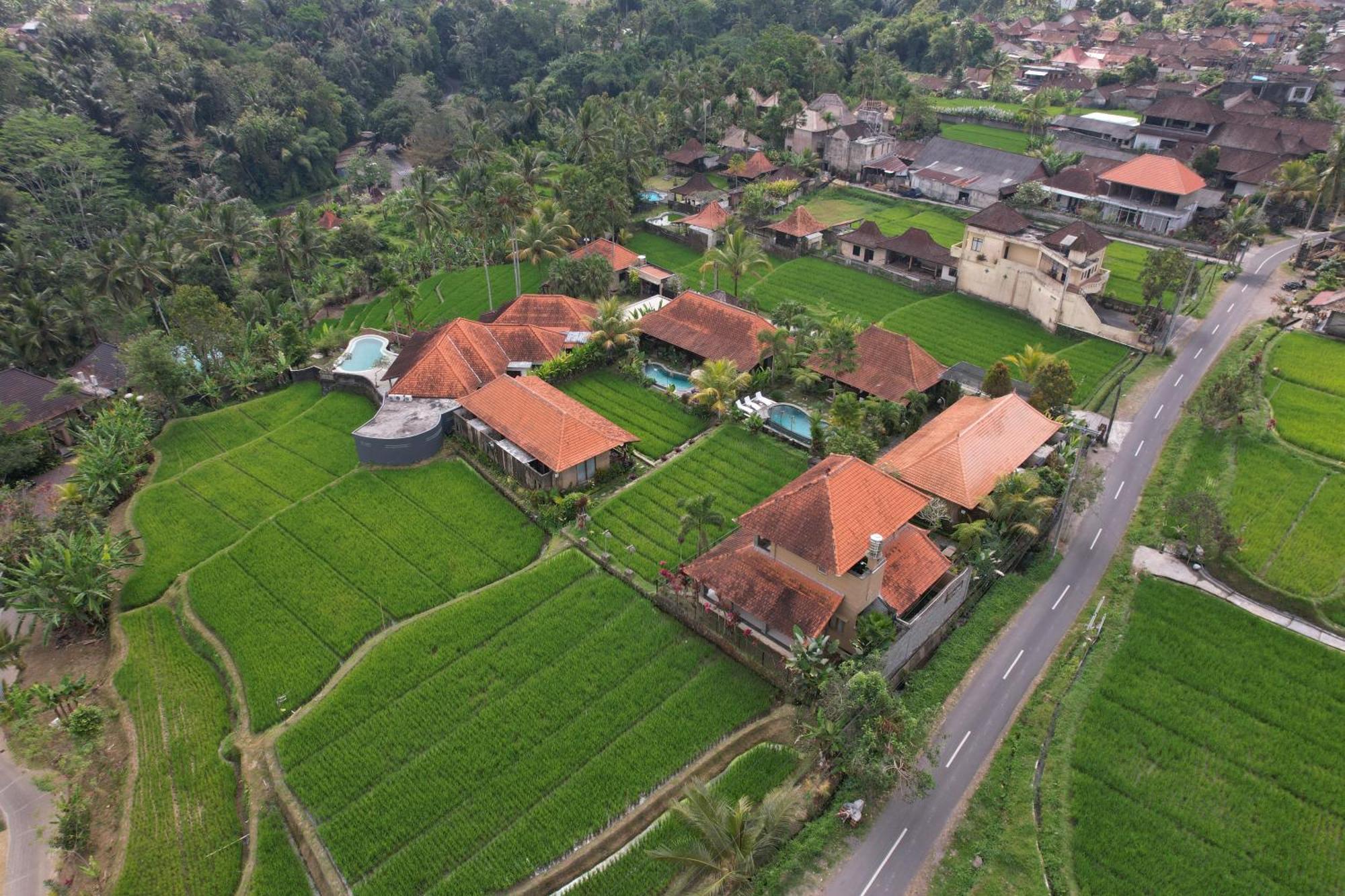 Umakelod Sebatu Villa&Cottages Ubud Exteriör bild