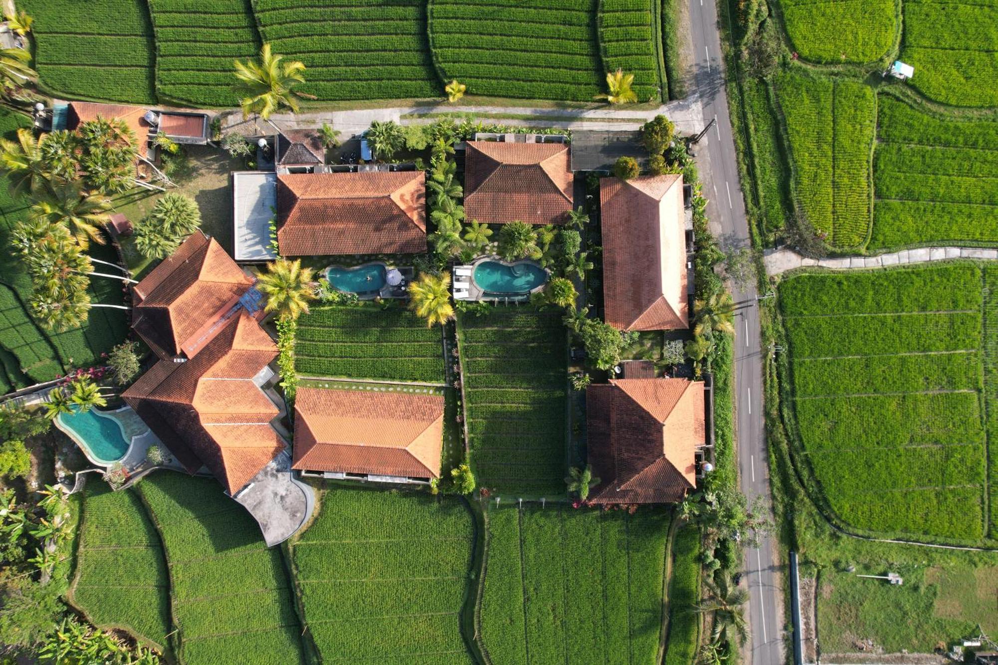 Umakelod Sebatu Villa&Cottages Ubud Exteriör bild